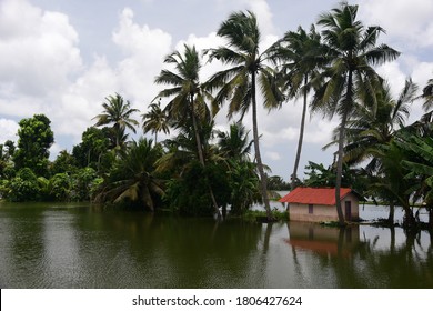 River And Canal  Side  Views Of Kuttanad Kerala India