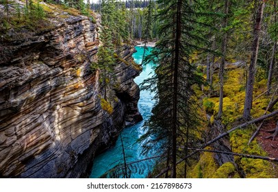 River canyon in the mountain forest. Deep forest river canyon landscape. River canyon view. River canyon in forest - Shutterstock ID 2167898673