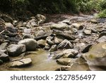 The river in the canyon is a rocky stream with rocky water and small rapids.