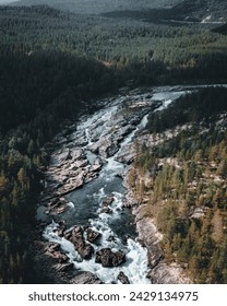 The river carves a sinuous path through the dense forest, a silver ribbon that weaves between the trees. The evening light casts a muted glow, transforming the scene into a canvas of dusky hues and ge