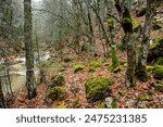 Guadalentín River, in the Cazorla, Segura and Las Villas natural park.