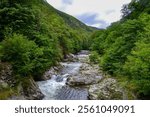 A river with clear, rushing water flows through a dense forest in a mountainous area. The scene features small rapids, vibrant greenery, and a partly cloudy sky.