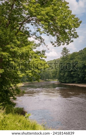 The River at Cook Forest State Park and Clarion River Lands in scenic northwestern Pennsylvania, USA