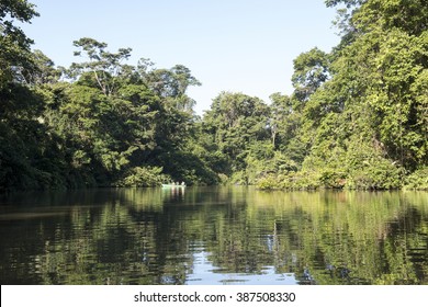 River In Costa Rica, Tortuguero