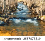 river, creek, forest, moss, autumn, fall, trees, sunset, landscape, nature, wallpaper