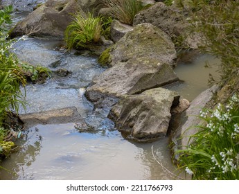 River Creek In A Melbourne Park Running Water Rocks And Plants