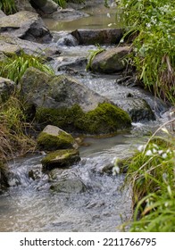 River Creek In A Melbourne Park Running Water Rocks And Plants