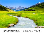 River creek in mountain valley. Water stream in summer green nature