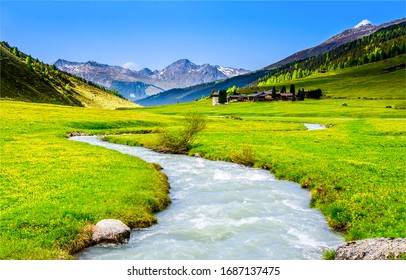 River creek in mountain valley. Water stream in summer green nature