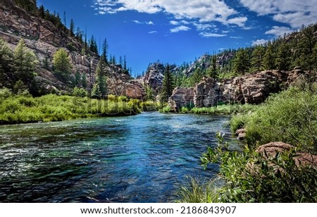 River creek rock in mountain forest background. River rock by forest riverside