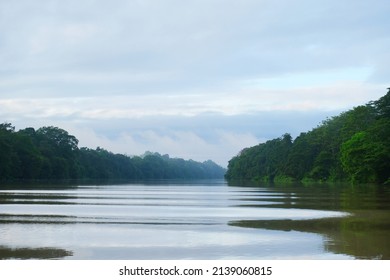 110 Kinabatangan River Cruise Images, Stock Photos & Vectors | Shutterstock