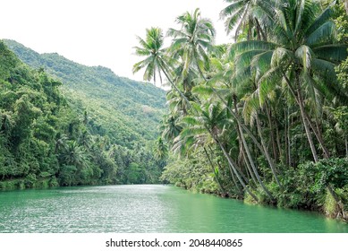 River Cruise In Loboc, Bohol.