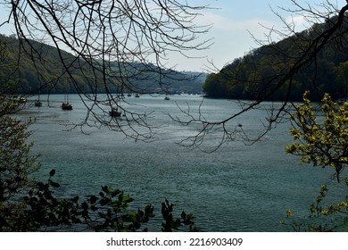 River Dart Near Greenway House In The South Hams.