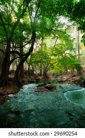 river in deep forest