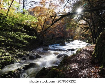 River Doon Flowing Down Ness Glen In East Ayrshire