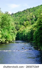 River Dyje, Czech Republic