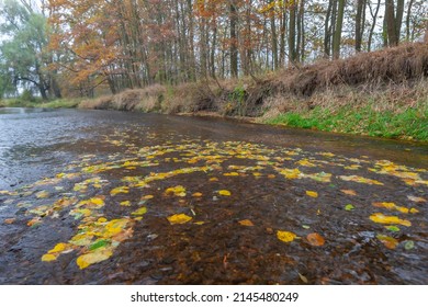 River Dyje South Moravia Czech Republic