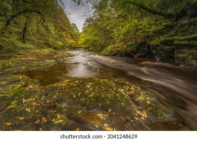 River Eden In The Mist