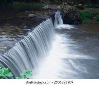 river at the edge of the forest