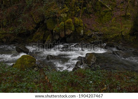 the river Einion rushing down the valley leading to the Dyfi estuary. surrounded by the welsh forests