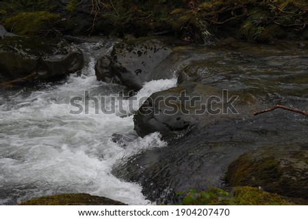 the river Einion rushing down the valley leading to the Dyfi estuary. surrounded by the welsh forests
