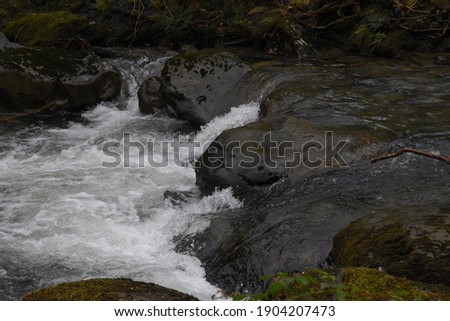 the river Einion rushing down the valley leading to the Dyfi estuary. surrounded by the welsh forests