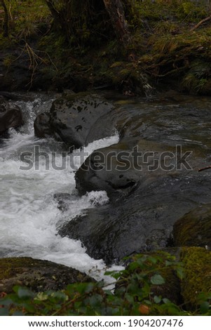 the river Einion rushing down the valley leading to the Dyfi estuary. surrounded by the welsh forests