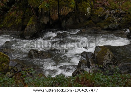the river Einion rushing down the valley leading to the Dyfi estuary. surrounded by the welsh forests
