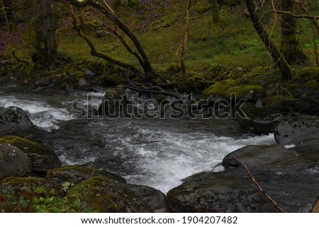 the river Einion rushing down the valley leading to the Dyfi estuary. surrounded by the welsh forests