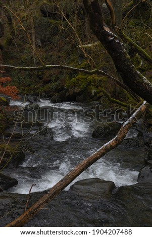 the river Einion rushing down the valley leading to the Dyfi estuary. surrounded by the welsh forests