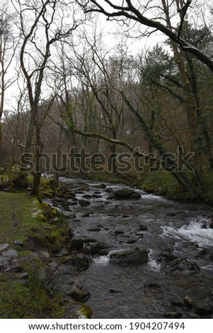 the river Einion rushing down the valley leading to the Dyfi estuary. surrounded by the welsh forests