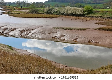 River Exe Estuary At Low Tide	