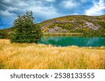  The river is fed by meltwater from glaciers. Clear cold glacial water of the Serrano River. Valley of the coastal river Serrano. Exotic trip to Chilean Patagonia.