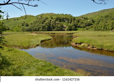 Stream Water Running Into Sea Inlet Stock Photo (Edit Now) 141407854