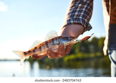 river fish in hand on a caught hook close-up on the background of water - Powered by Shutterstock