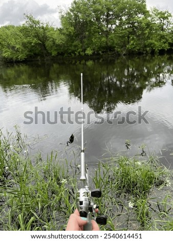 River fishing, fishing pole, frog