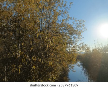 River floating in countryside. Small river. Sunny day with white and gray clouds in sky. Fields and trees. Country side. - Powered by Shutterstock