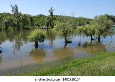 River Flooding After Rains, Flooding Of Trees And The Coastal Zone