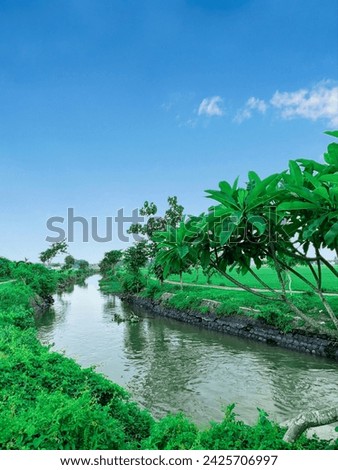The river flow beside it is a green view with a beautiful blue sky