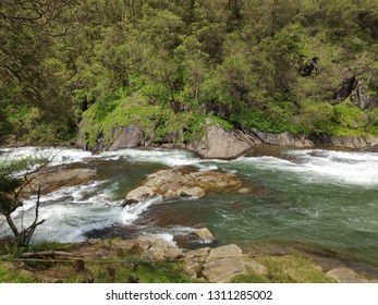 river flow in forest