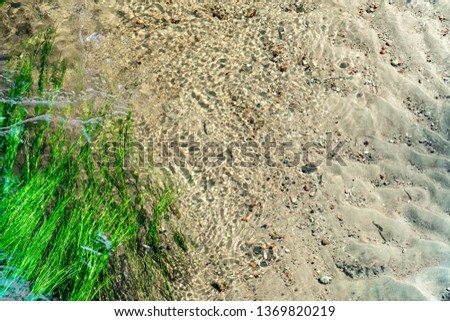 River with flow-driven plants
