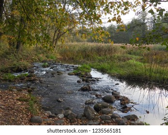 river flowing in the forest