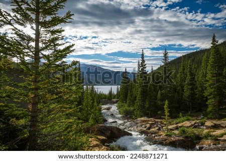 river flowing in a mountain forest