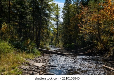River flowing over rocks and past trees in a forest in Minnesota in autumn. Calm and secluded natural landscape with sparkling sunlight reflecting off the water.