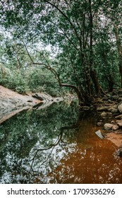 A river flowing through dense forests of Karnataka...