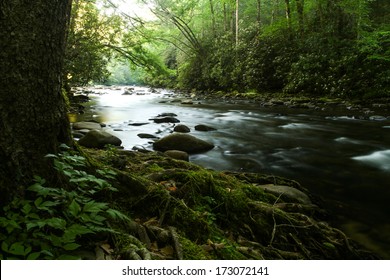 A river flowing through a forest. Great Smoky Mountains National Park, NC, USA.