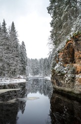 River Flowing Through Forest In Winter. Snowy Pine Trees Along The Dark Waters