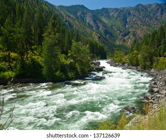 A River Flowing Through a Mountain Forest - Wenatchee River Washington USA