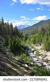 River flowing through pine forest and rocky ravine - Roaring River, Rocky Mountain National Park, Colorado, USA - Shutterstock ID 2175896041