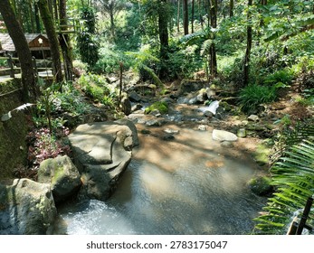 A river flowing in the wild with many trees surrounding it